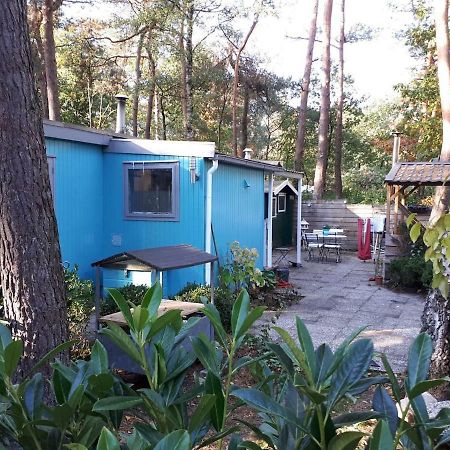 Boshuis Turquoise / Smaakvol Genieten Op De Veluwe Hoenderloo Exterior photo