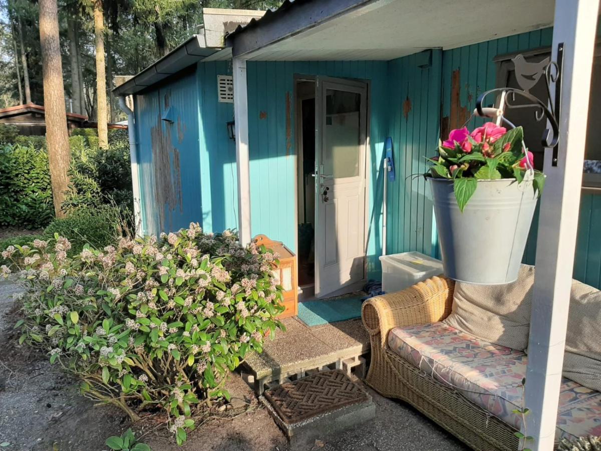Boshuis Turquoise / Smaakvol Genieten Op De Veluwe Hoenderloo Exterior photo
