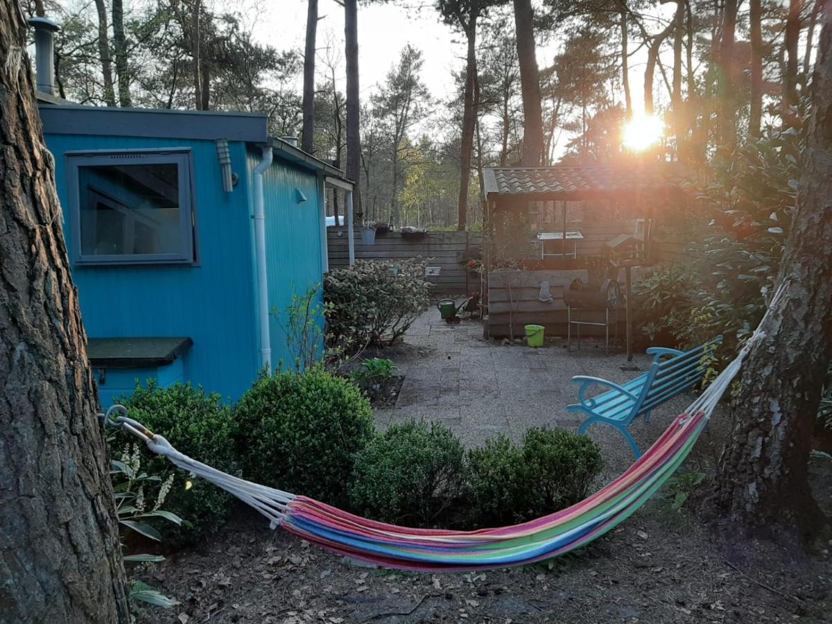 Boshuis Turquoise / Smaakvol Genieten Op De Veluwe Hoenderloo Exterior photo
