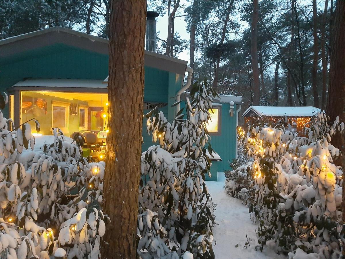 Boshuis Turquoise / Smaakvol Genieten Op De Veluwe Hoenderloo Exterior photo