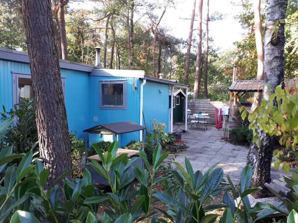 Boshuis Turquoise / Smaakvol Genieten Op De Veluwe Hoenderloo Exterior photo