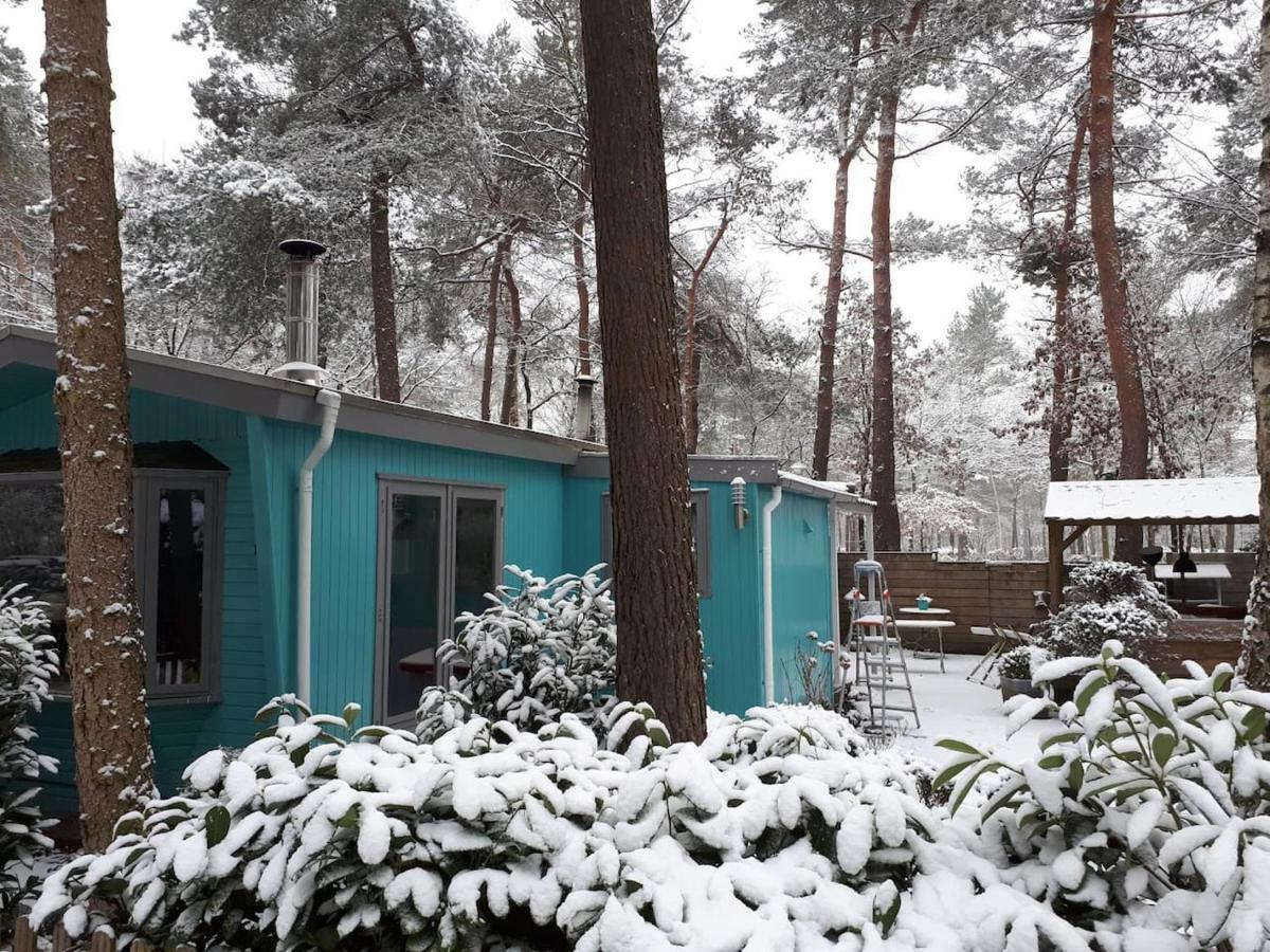 Boshuis Turquoise / Smaakvol Genieten Op De Veluwe Hoenderloo Exterior photo