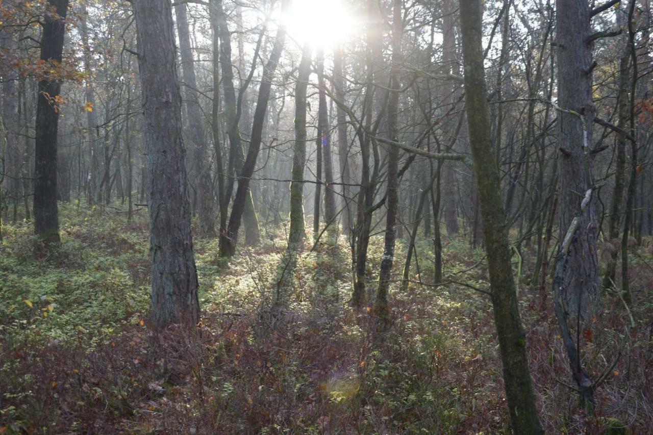 Boshuis Turquoise / Smaakvol Genieten Op De Veluwe Hoenderloo Exterior photo