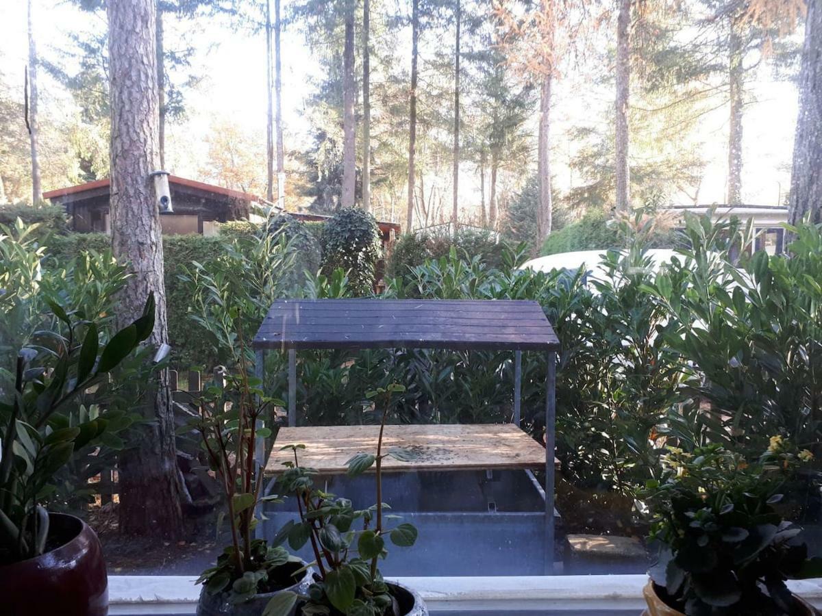 Boshuis Turquoise / Smaakvol Genieten Op De Veluwe Hoenderloo Exterior photo