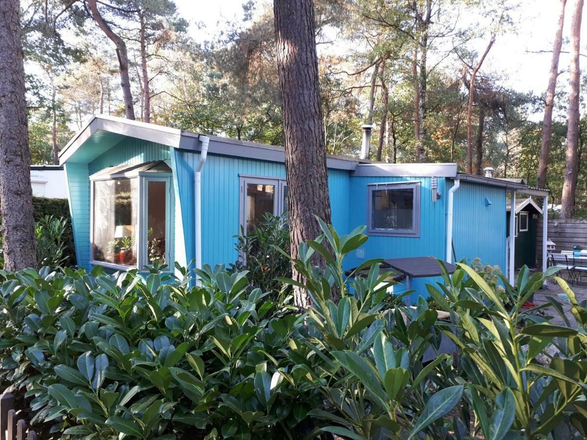 Boshuis Turquoise / Smaakvol Genieten Op De Veluwe Hoenderloo Exterior photo