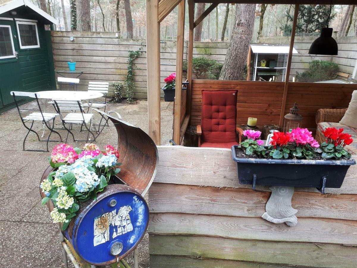 Boshuis Turquoise / Smaakvol Genieten Op De Veluwe Hoenderloo Exterior photo